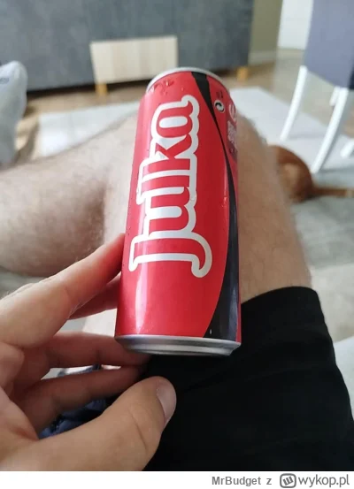 MrBudget - U mnie Joolka na kolanku a wy zazdrośni #przegryw