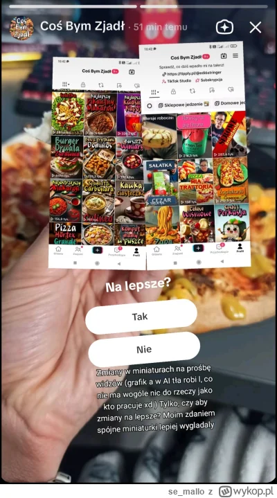 se_mallo - 8 lat w branży nie idzie na marne i gargulec ogranicza używanie AI.w swoic...