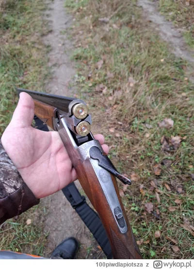 100piwdlapiotsza - Mirki jak wam weekend minął? 


#polowanie #myslistwo #las #kicioc...