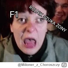MilionerzChoroszczy - Ja tego wieczoru
#f1 #rolnikszukazony