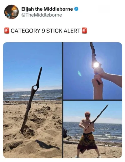 bastek66 - Ale fajny patyk znalazł #patyk #xenoblade