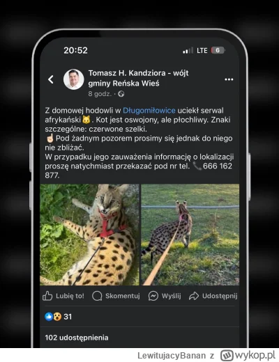 LewitujacyBanan - Bestia ze złotej chyba jest głodna 

#famemma