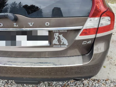 GangKobry - Zdrowi ludzie...

#psiarze #psy #zwierzaczki #patologiazmiasta