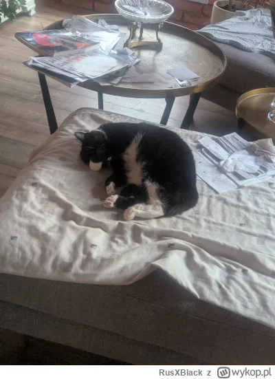 RusXBlack - @maria_kiribati mam podobnego