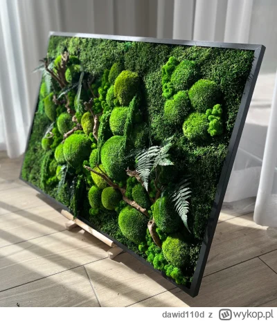 dawid110d - Ma ktoś do polecenia miejsce gdzie robią takie obrazy na miejscu z mchu c...