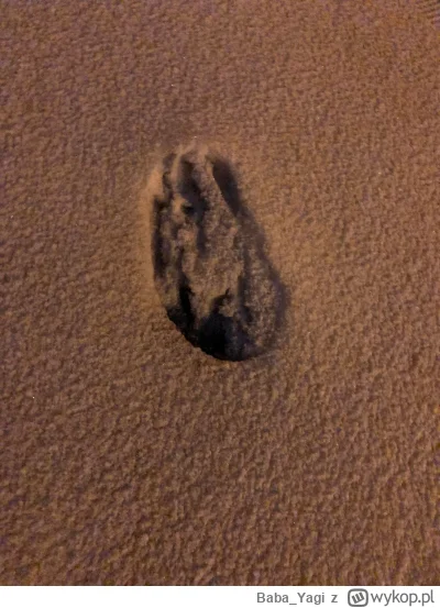 BabaYagi - @BabaYagi: