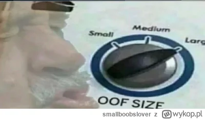 smallboobslover - >on nawet swojej żony nie wykorzystuje

@TS: 

oof ( ͡° ͜ʖ ͡°)