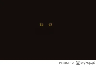 PapaSar - @Dumle007: