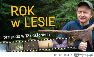 phontour - Cześć!

Mam dla Was nowy film - Rok w lesie

Dużo ciekawych leśnych zdarze...