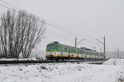 choochoomotherfucker - Spadło trochę śniegu, więc trzeba było wyjść na zdjęcia, bo ni...