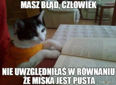 paczelok - #koty