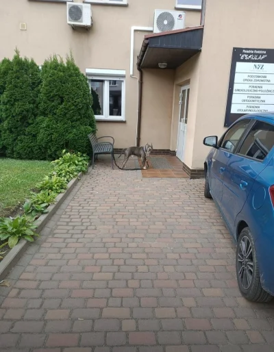 matterac - Ryzykować życiem i wejść? W budynku jest lekarz więc może uratuje w razie ...