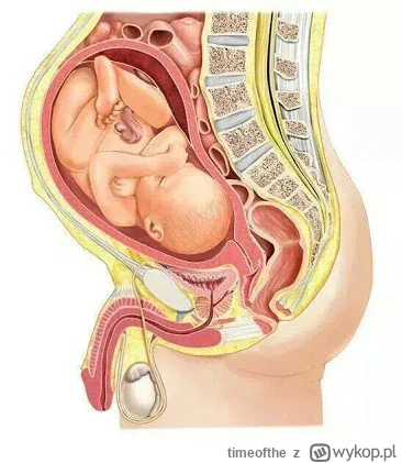 timeofthe - @timeofthe