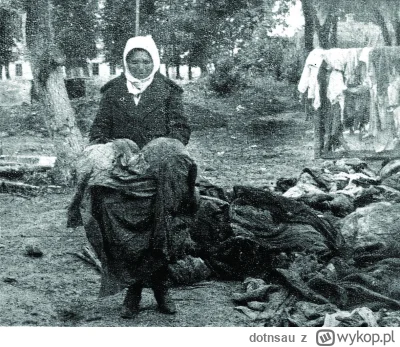 dotnsau - Logika kacapii - Nie pomagajcie Ukraińcom, oni was mordowali! 100 000 ofiar...