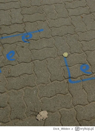 Dick_Wilden - @SpongeBobertKanciastoRenki: