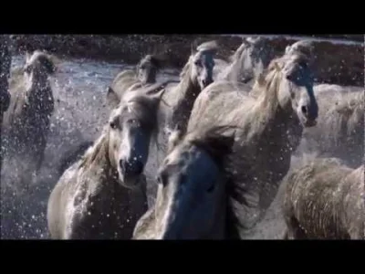 seventh_gate - Zdecydowanie wolę konie od ludzi
Człowiek wynalazł brąz i zaczął odle...