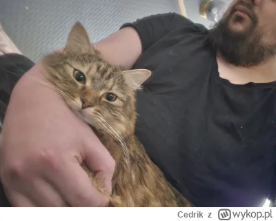 Cedrik - Mizianko musi być.

#pokazkota