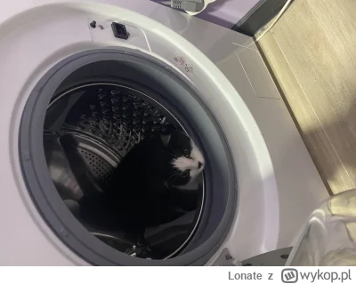 Lonate - Coś mi się zalęgło w pralce, myślicie że mogę wrzucić na wirowanie? ( ͡° ͜ʖ ...