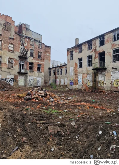 mrsopelek - Wszystkie miasta są piękne, ale #lodz przesadziła