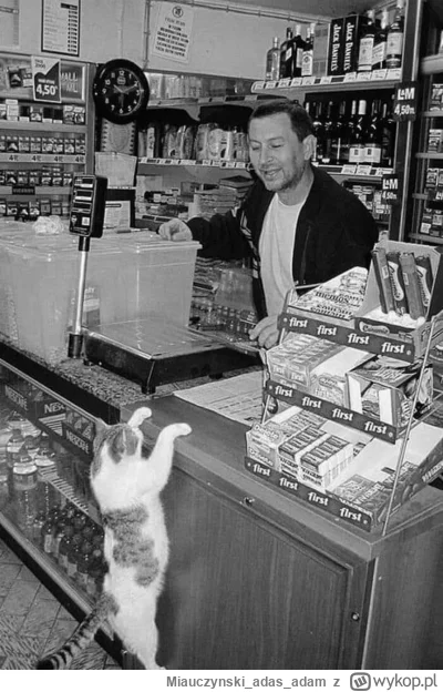 Miauczynskiadasadam - >panie Malinowski wino leśne na zeszyta 

#kitku #koty #kotek