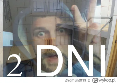 ZygmuntX19 - #kononowicz #patostreamy