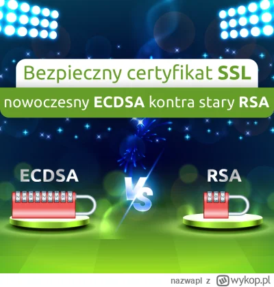 nazwapl - Nowoczesny certyfikat SSL ECDSA vs stary RSA

Oprócz samego zastosowania ce...