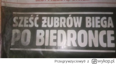 Przegrywzyciowy0 - @Thorus88: