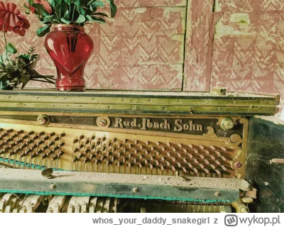 whosyourdaddy_snakegirl - Bareczki to wam chyba na tym nie zagram ( ͡º ͜ʖ͡º)

#spierd...