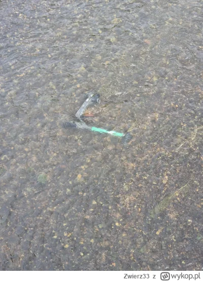 Zwierz33 - Hulajnoga miejska w rzeczce na wsi xd

#przegryw