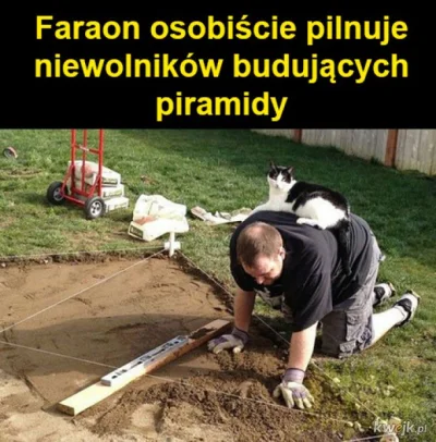 Testoviron257 - Przecież nikt niczego nie robi sam XD Chyba tylKO wyKOpki w zalanej p...