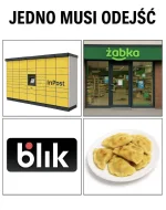 kanguru - jedno musi zniknąć co wybierasz?