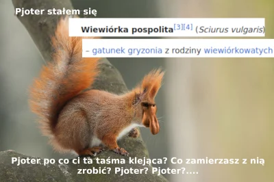 janielubie - Pjoter, uszanuj ojca swego zwinnego acz rudego

#konkursnanajbardziejgow...