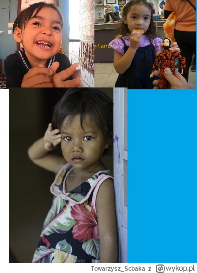 Towarzysz_Sobaka - #raportzpanstwasrodka 
Ostatnio wywiodła się dyskusja jakoby Dżunk...