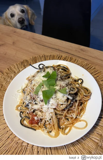 luxpl - Golden spaghetti #gotujzwykopem #pokazpsa