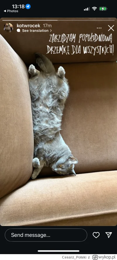 Cesarz_Polski - #kotekwrocek #wroclaw