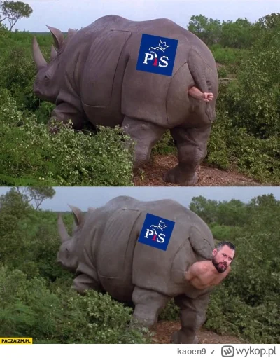 kaoen9 - #polityka #kanalzero #stanowski