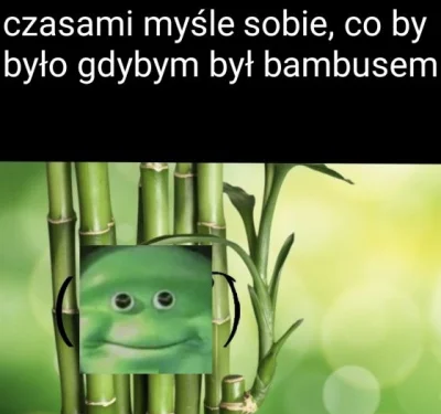 KjatanSveisson - #sebcel 

Załóżmy że uczysz się języka obcego. Pytanie brzmi po ilu ...