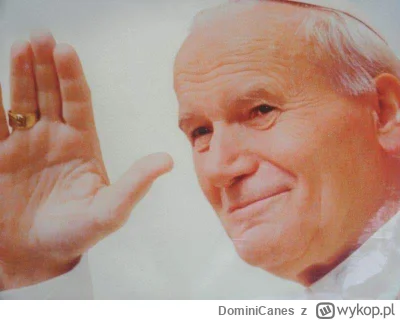 DominiCanes - @Napalone_Okno: