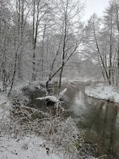 Gontyn- - #przegryw #spierdotrip