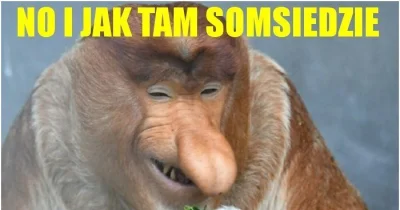 Minieri - Hancko i Strelec, Słowacja - Niemcy 2:0

Mirror: https://streamin.one/v/f02...