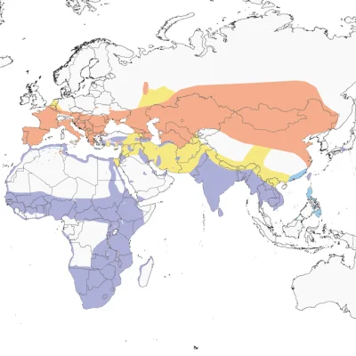Lifelike - Zasięg występowania:
