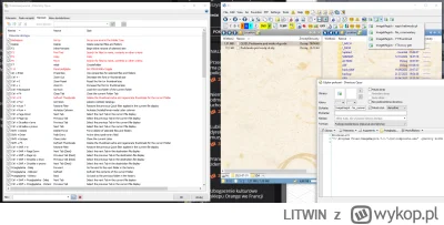 LITWIN - @mietek79: Directory Opus działa za darmo przez miesiąc czasu - ściągnij sob...