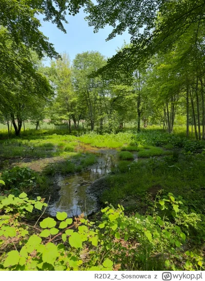 R2D2zSosnowca - @R2D2zSosnowca czerwcowe