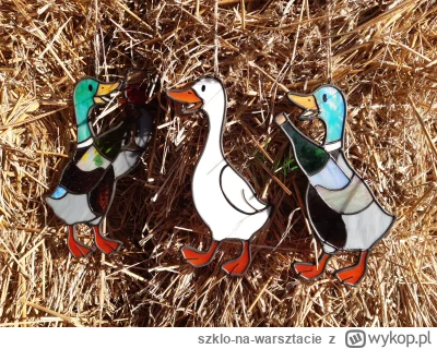 szklo-na-warsztacie - Dawno nic nie wrzucałem. Mamy na ogrodzie 16 biegusów i tak nas...