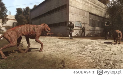 eSUBA94 - to stą się wzięły nibypsy i inne