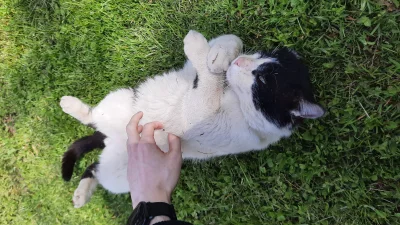 6.....9 - Wracam po banie, jako zadośćuczynienie wrzucam zdjęcia wiejskiego kitku, fr...