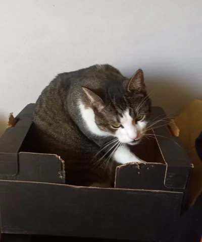 Kantorwymianymysliiwrazen - @Slupper: Nie wiem co mu jest, to nie mój.乁(⫑ᴥ⫒)ㄏ
To mój ...