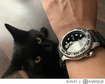 Kefir91 - Różowa kupiła mi #zegarki , więc zarządzam #kontrolanadgarstkow 

Przy okaz...