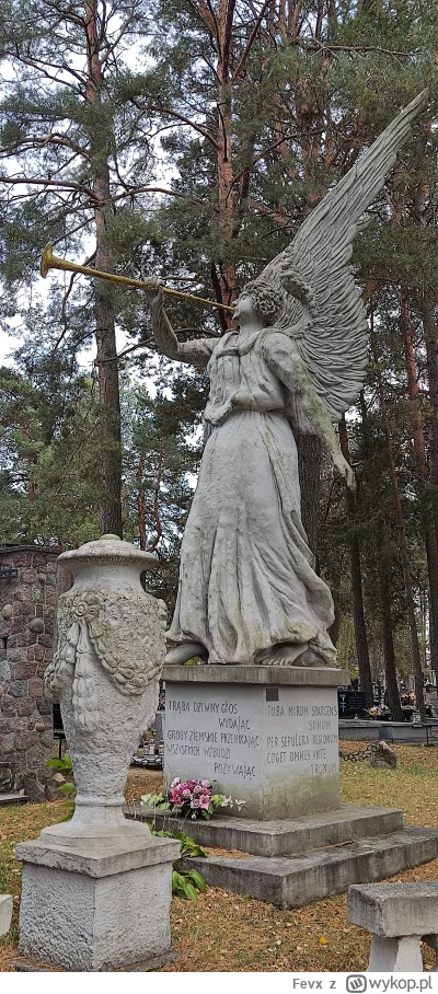 Fevx - Figura z cmentarza w Wasilkowie, podlaskie. Piękny cmentarz. #cmentarz #nagrob...