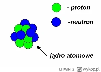 LITWIN - W atomie najważniejsze jest to, że Jarka ciągnie do jąder więc nie ma możliw...